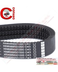 Cinghia Agco La 1480 mm Larg 31x10 mm Adattabile Fendt - X696989501000 Cinghia Agco La 1480 mm Larg 31x10 mm Adattabile Fendt - X696989501000