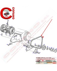 Cinghia Agco 13 x Lung. 918 mm adattabile Fendt - X696623300000