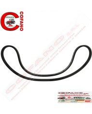 Cinghia trapezoidale Agco 790 mm Adattabile Fendt - F926202040020