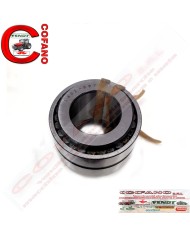 Cuscinetto a rulli doppi per barre falcianti G e S 097A per leva agricola Biella