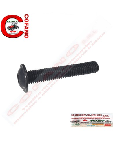 Vite testa cilindrica M5x30 4.8 Massey Ferguson Fendt (3011434X1)