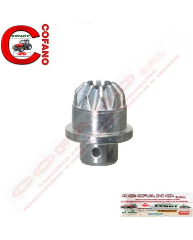 Ingranaggio - Pignone braccio di sollevamento Scanalature: 10 Landini Massey Fer Ingranaggio - Pignone braccio di sollevamento Scanalature: 10 Landini Massey Fer