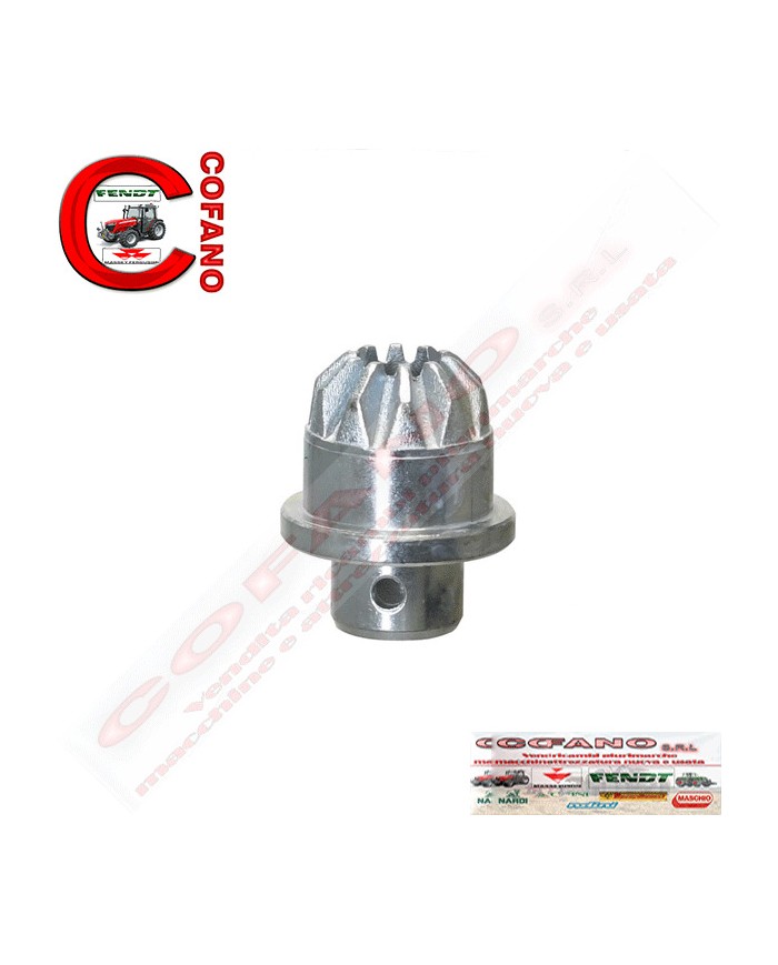 Ingranaggio - Pignone braccio di sollevamento Scanalature: 10 Landini Massey Fer