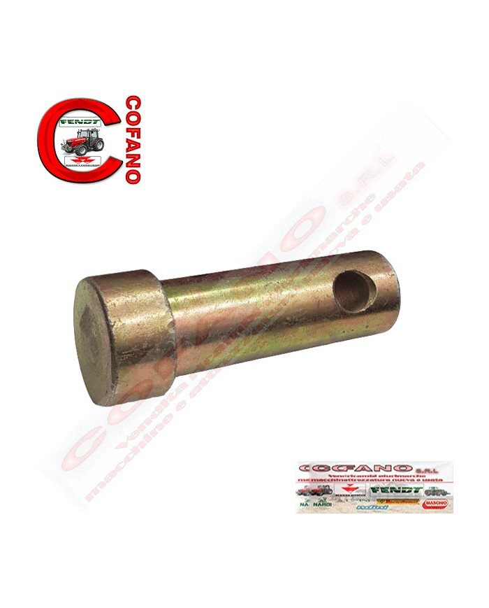 Perno Lungh 95 mm Ø 27 mm Ø foro 12 mm