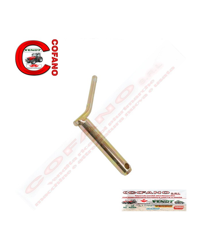 Perno con maniglia Ø 28 x 120 mm