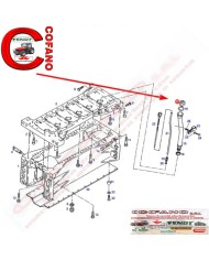 Tappo olio motore Fendt 500-800-900