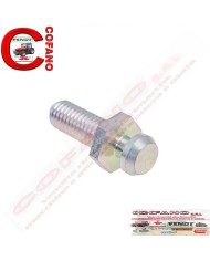 Perno d'attacco M8 x 1.25 x 20 per Massey Ferguson 3300-3400