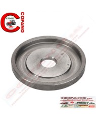 Disco Ø 50 mm x 5 mm Fendt 800-900