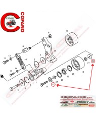 Disco Ø 50 mm x 5 mm Fendt 800-900