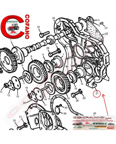 Coperchio della distribuzione Massey Ferguson 158