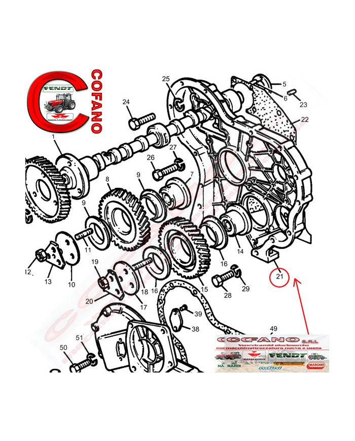Coperchio della distribuzione Massey Ferguson 158