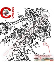 Coperchio della distribuzione Massey Ferguson 158