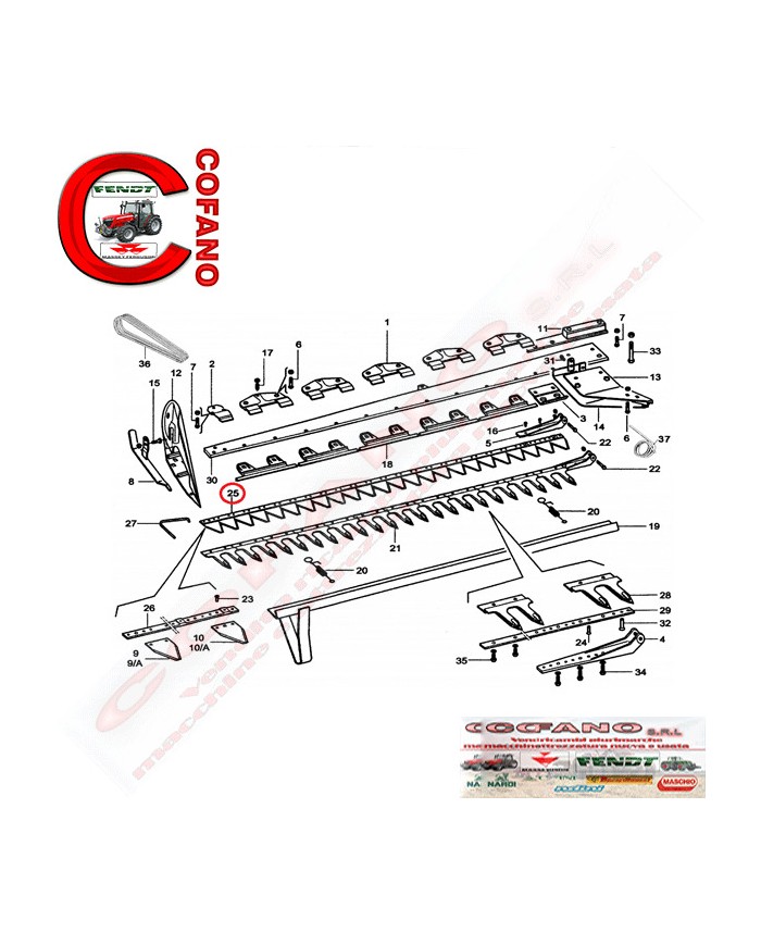 Lama a 28 sezioni rigate cm 212 per barre falcianti compatibile con Gribaldi e S