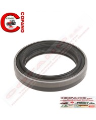 Paraolio misure 56.50 x 80 x 18.50 mm Massey Ferguson e Landini