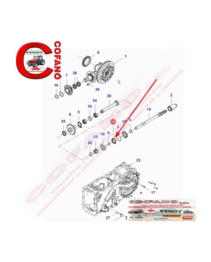 Paraolio misure 56.50 x 80 x 18.50 mm Massey Ferguson e Landini