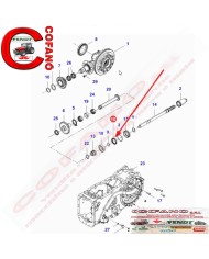 Paraolio misure 56.50 x 80 x 18.50 mm Massey Ferguson e Landini