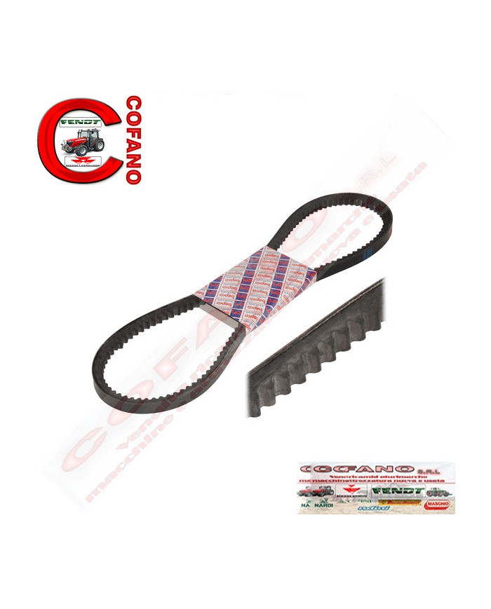 Cinghia misure 13 x 1275 mm Massey Ferguson