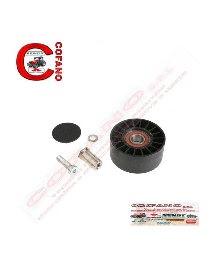 Kit riparazione rullo tenditore Fendt vario 400-700