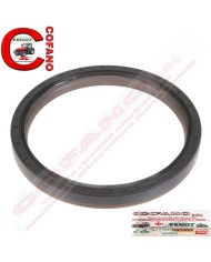 Anello di tenuta albero 110 x 130 x 13 mm Fendt 500-800-900