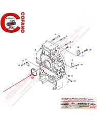 Anello di tenuta albero 110 x 130 x 13 mm Fendt 500-800-900