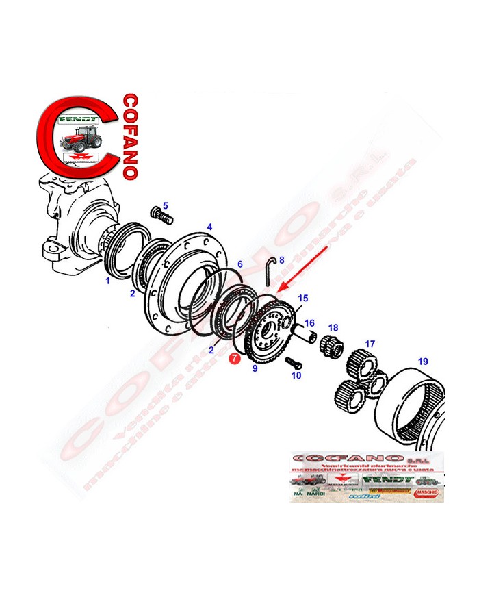 Fermo elastico Fendt Ø 240 mm