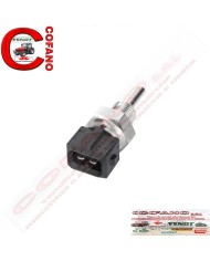 Sensore temperature MF 6000-7000-8000 Fendt Valtra