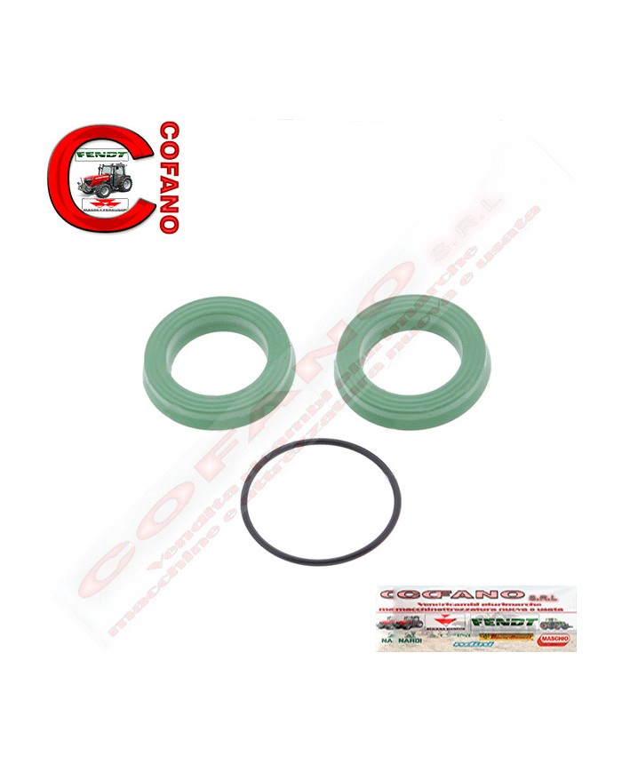 Kit riparo cilindro Massey Ferguson 300-4200-4300