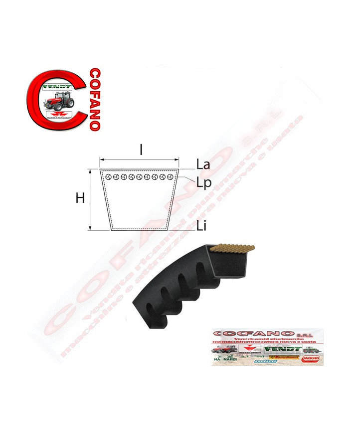 Cinghia Agco AVX10 - 1500 mm - 1450 mm MF serie 300