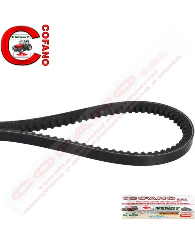 Cinghia AVX10 x 1425 mm per Fendt