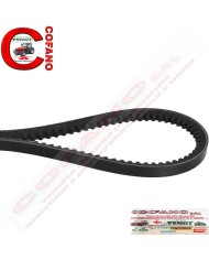 Cinghia AVX10 x 1425 mm per Fendt