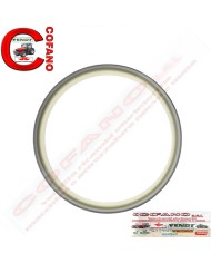 Paraolio Agco 3785154M1 Ø 80 mm MF 6000-7000