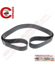 Cinghia Agco ACW0100750 trapezoidale 12PK x 2172 mm MF 8000