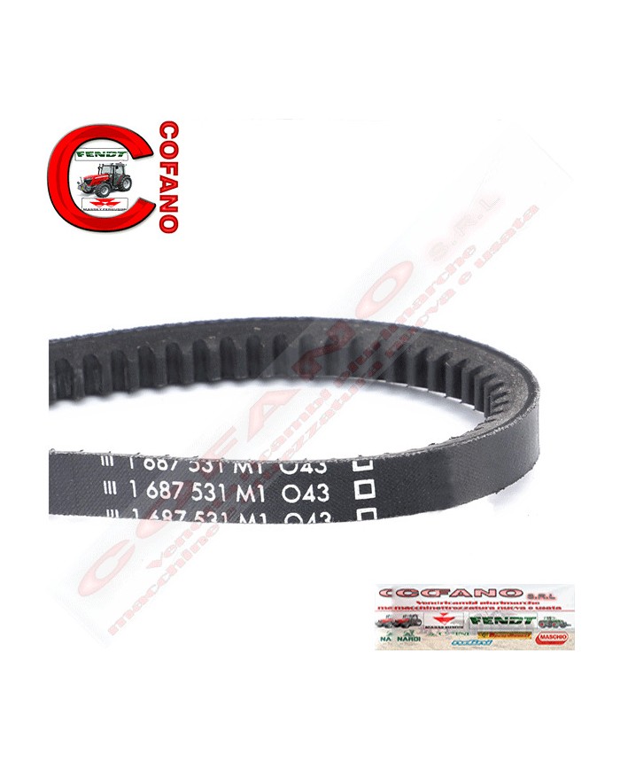Cinghia 1687531M1 Agco AVX13-1325 mm MF 200/300