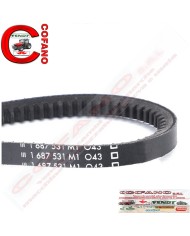 Cinghia 1687531M1 Agco AVX13-1325 mm MF 200/300