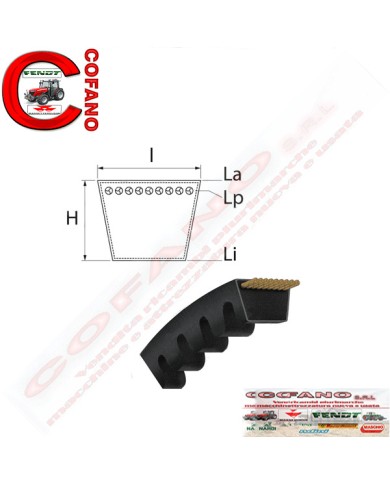 Cinghia 1687531M1 Agco AVX13-1325 mm MF 200/300