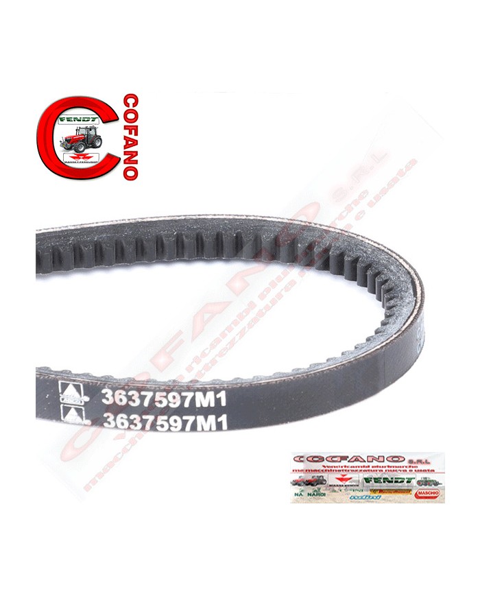 Cinghia 3637597M1 Agco AVX13-1200 mm MF 100/300