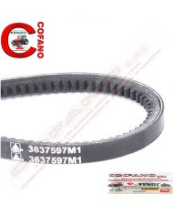 Cinghia 3637597M1 Agco AVX13-1200 mm MF 100/300