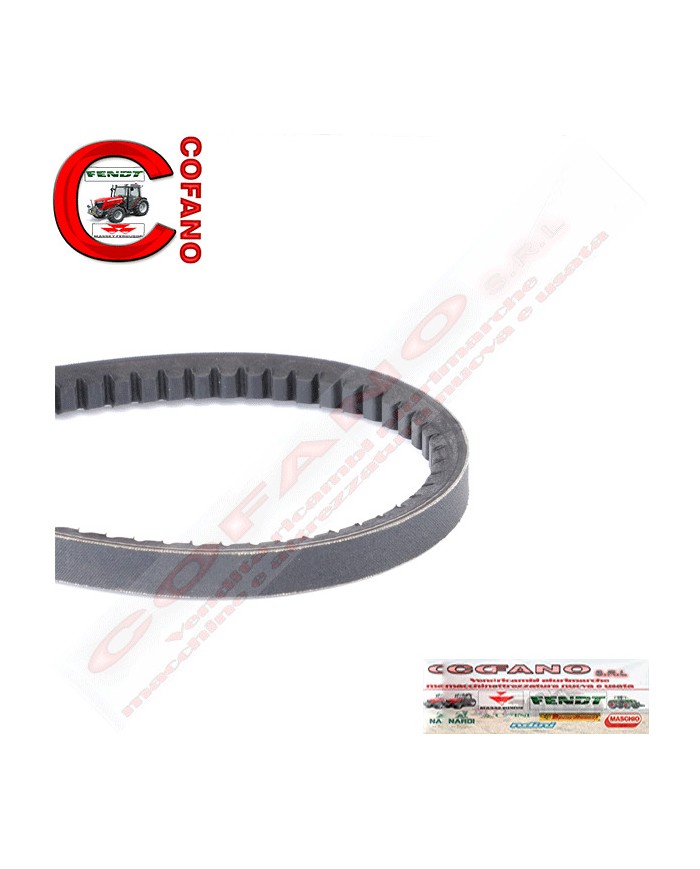 Cinghia dentata SHL AVX13-1325 mm 2.4119.186.0