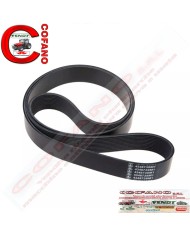 Cinghia 4348738M1 Agco trapezoidale 12PK x 2040 mm MF 8600 Cinghia 4348738M1 Agco trapezoidale 12PK x 2040 mm MF 8600