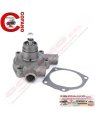 Pompa acqua 3641250M91 Agco MF Landini