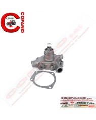 Pompa acqua 3641250M91 Agco MF Landini