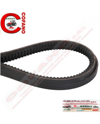 Agco 3639685M1 Kit Cinghia trapezoidale Largh. 12.7 mm MF