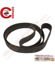 Agco 4275545M3 Cinghia 12PK x 1953 mm MF 8400