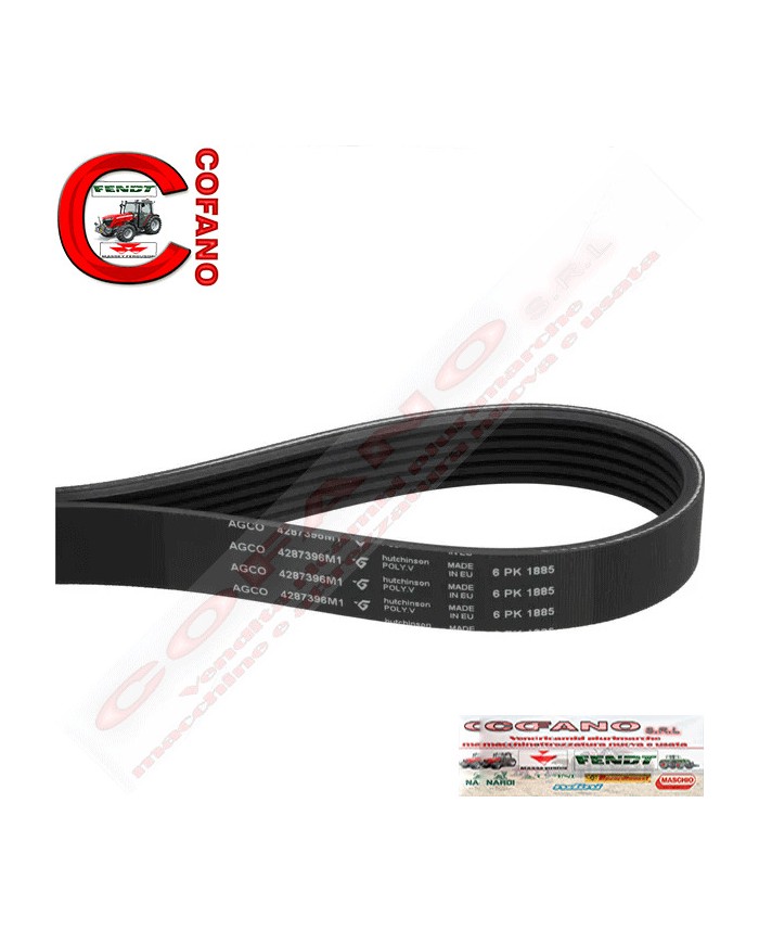 Cinghia 4287396M1 Agco 6PK x 1885 mm MF 8600 Cinghia 4287396M1 Agco 6PK x 1885 mm MF 8600