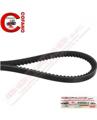 AVX10980 Cinghia 10x980