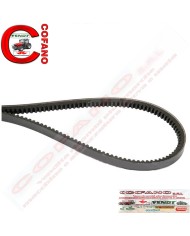 Cinghia AVX 13x1425 Case IH Cinghia AVX 13x1425 Case IH