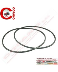 Kit Cinghia 2 pezzi 4274692M91 Agco 12.5x1425 Kit Cinghia 2 pezzi 4274692M91 Agco 12.5x1425