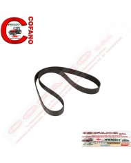 Cinghia 12 PK x 1880 mm