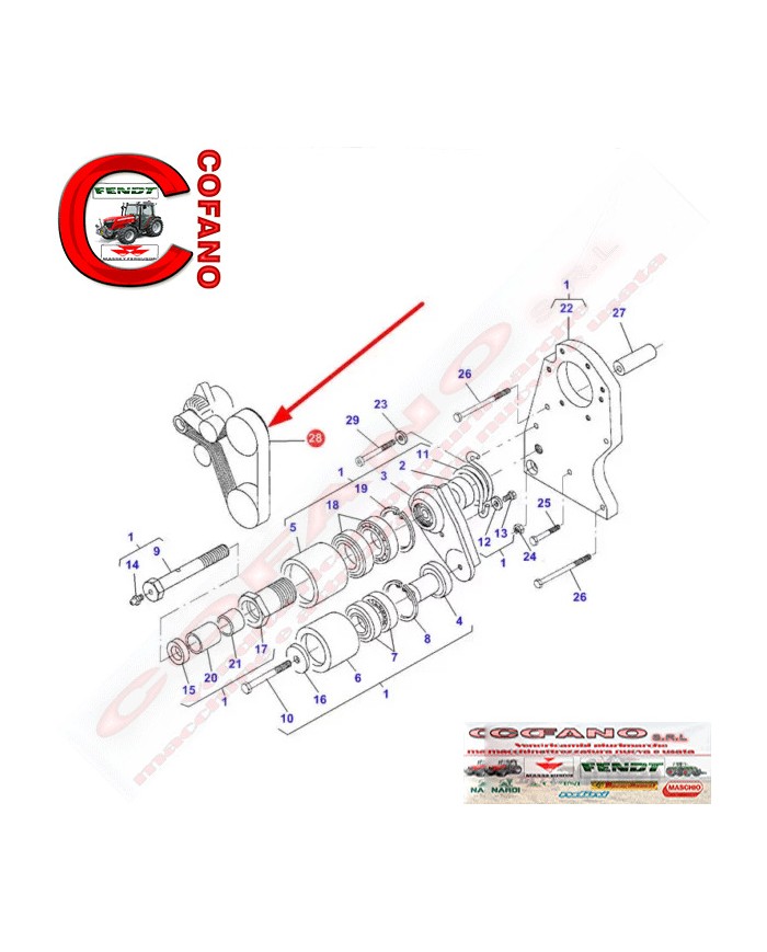 Cinghia 12 PK x 1880 mm