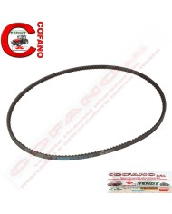 Cinghia trapezoidale Agco alternatore XPA 1307 MF 3600 Cinghia trapezoidale Agco alternatore XPA 1307 MF 3600